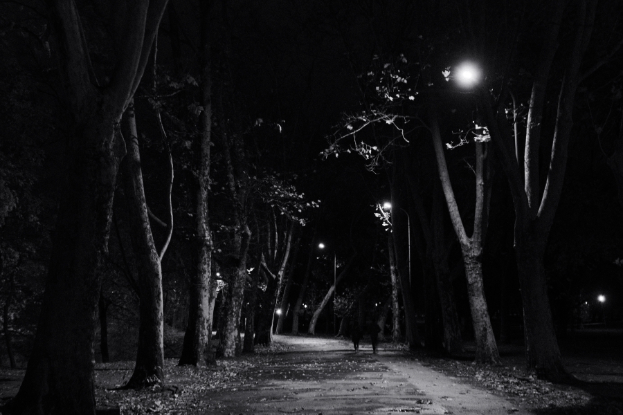 City Park - 2023.11.11