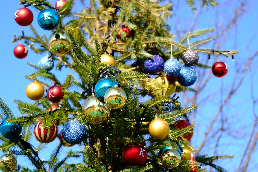 Osaka Christmas Market - 2023.12.25