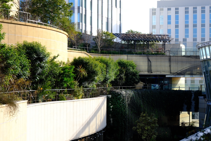 Namba Parks - 2023.12.28