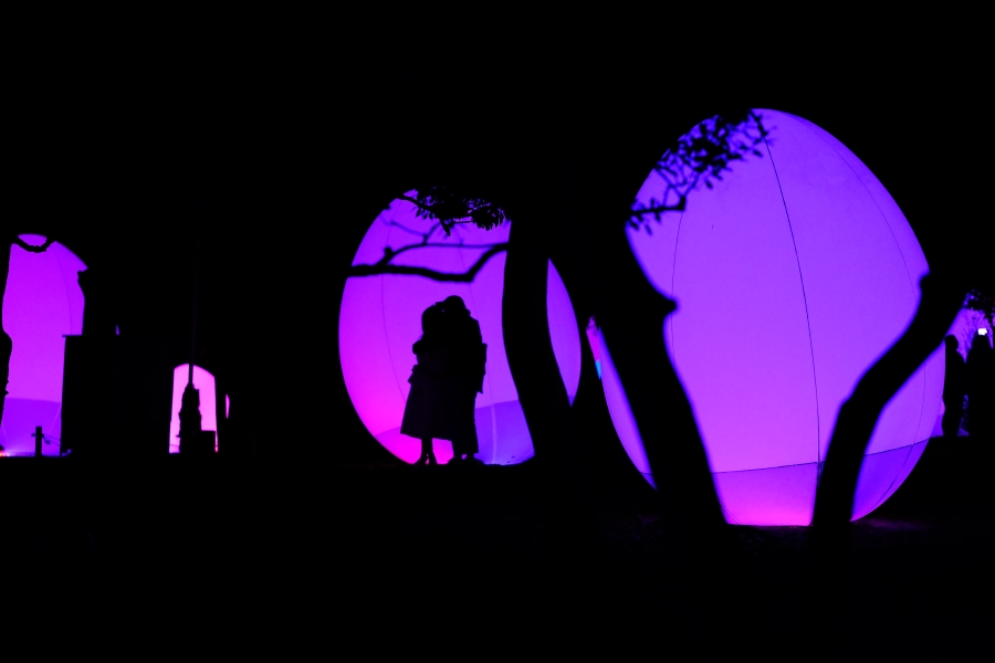 teamLab Botanical Garden - 2023.12.14